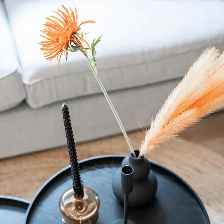 Xl 2br Near And Supermarket * Tilbourg