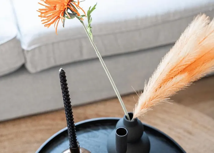 Xl 2br Near And Supermarket * Tilburg