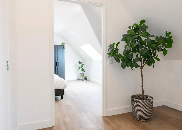 Xl 2br Near And Supermarket *